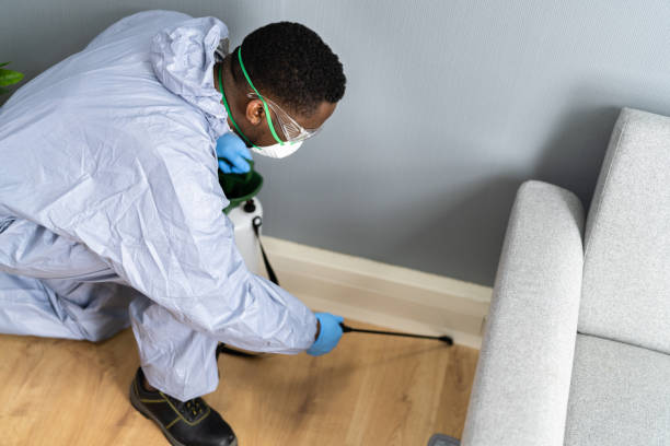 Best Termite Inspection and Treatment  in Nashville, MI